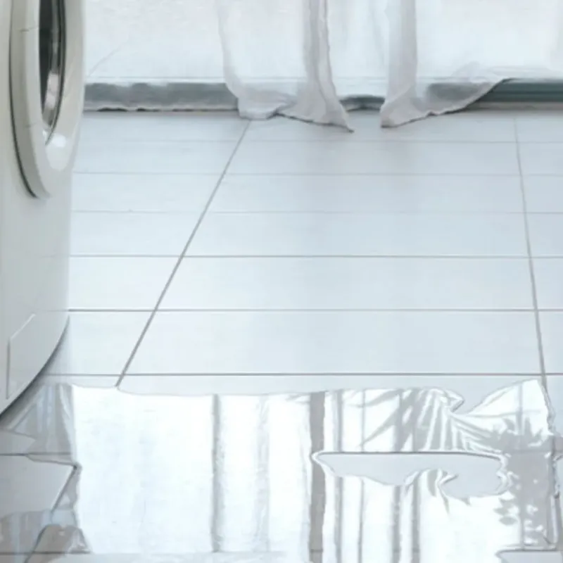 Appliance Leak Cleanup in Palmetto, FL
